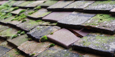 Chepstow roof repair costs